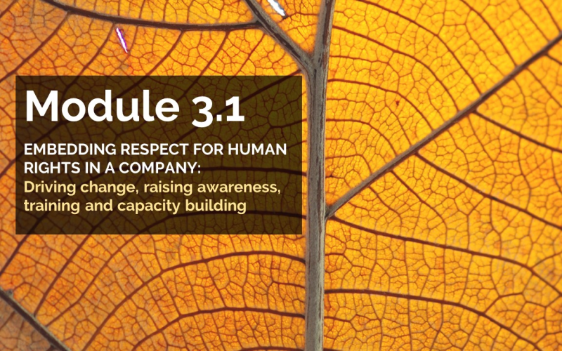 Module 3.1