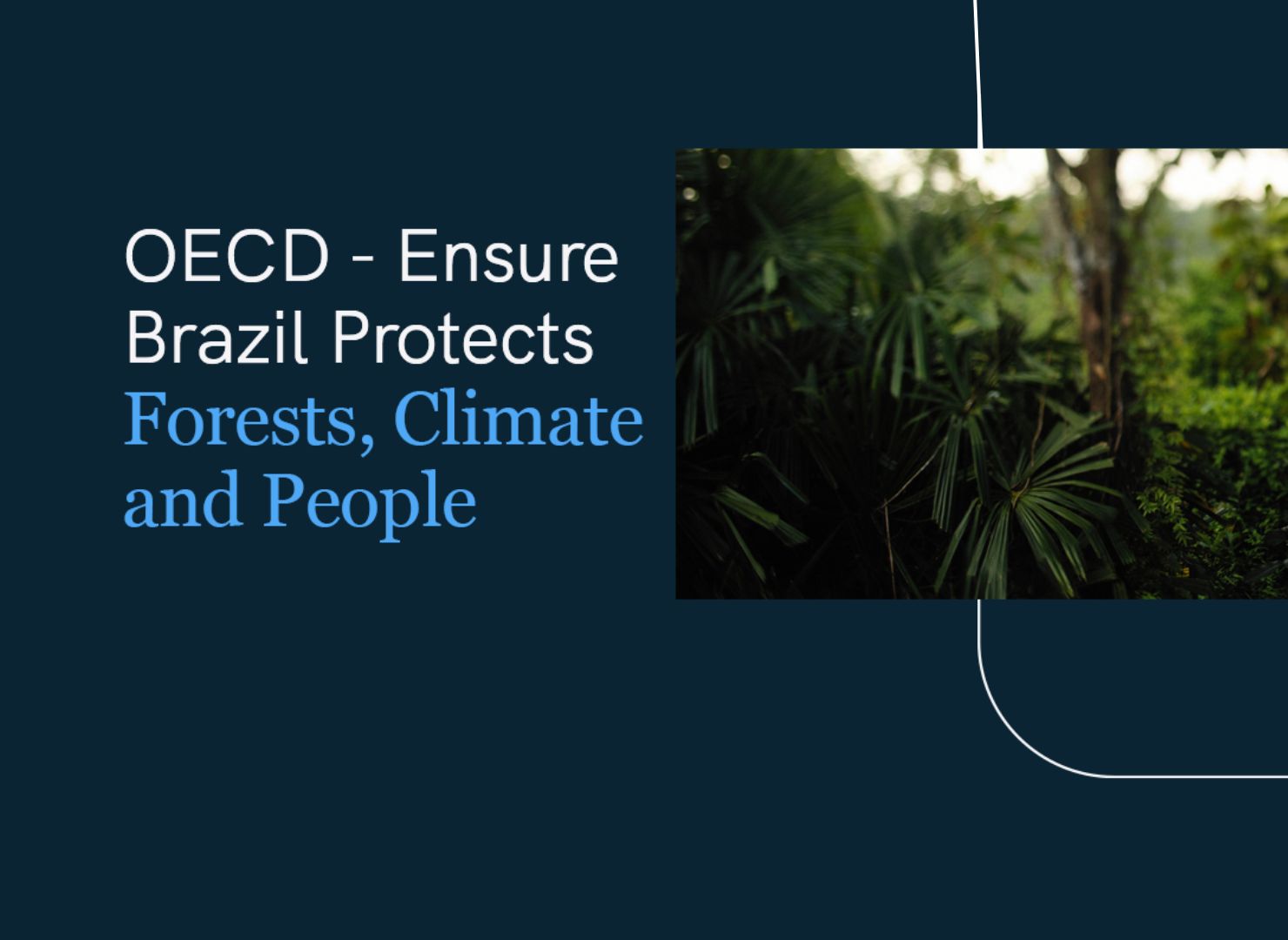 OECD – Brazylia obrazek wyr.